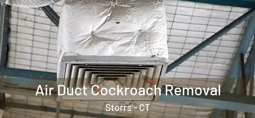 Air Duct Cockroach Removal Storrs - CT