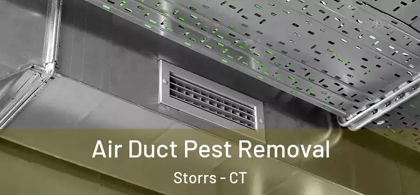  Air Duct Pest Removal Storrs - CT