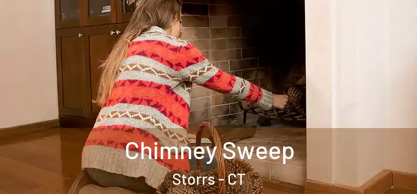 Chimney Sweep Storrs - CT