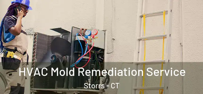 HVAC Mold Remediation Service Storrs - CT