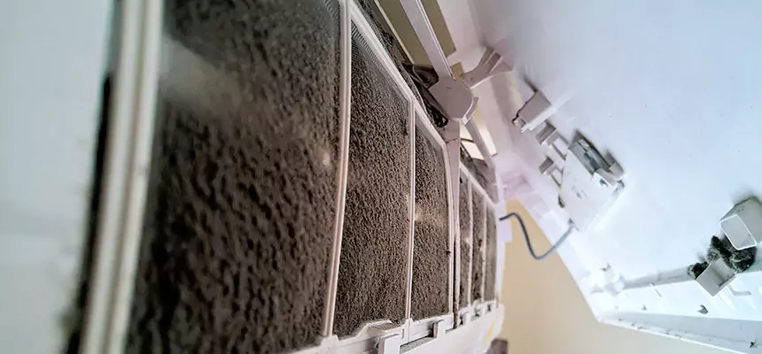 Preventive Air Duct Bacteria Removal in Storrs