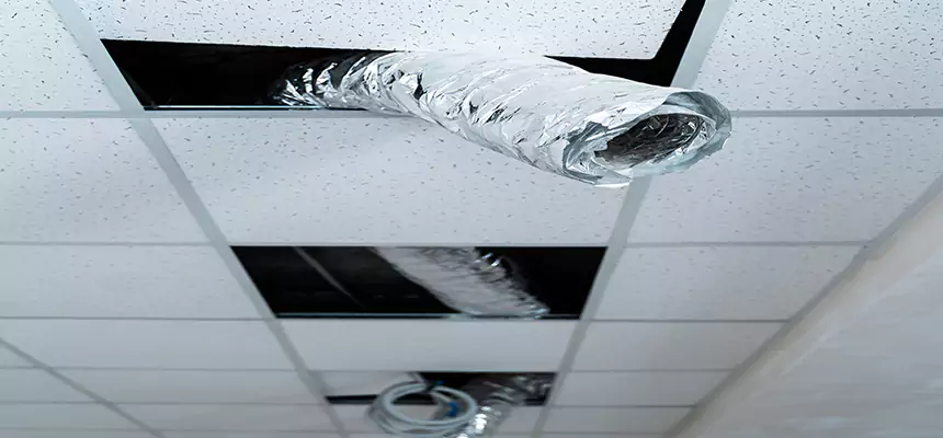 Affordable HVAC Sanitizing After Pest Removal in Storrs