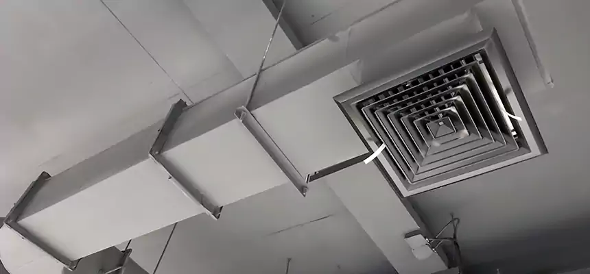 Our Pest Removal From Ducts Services in Storrs, CT