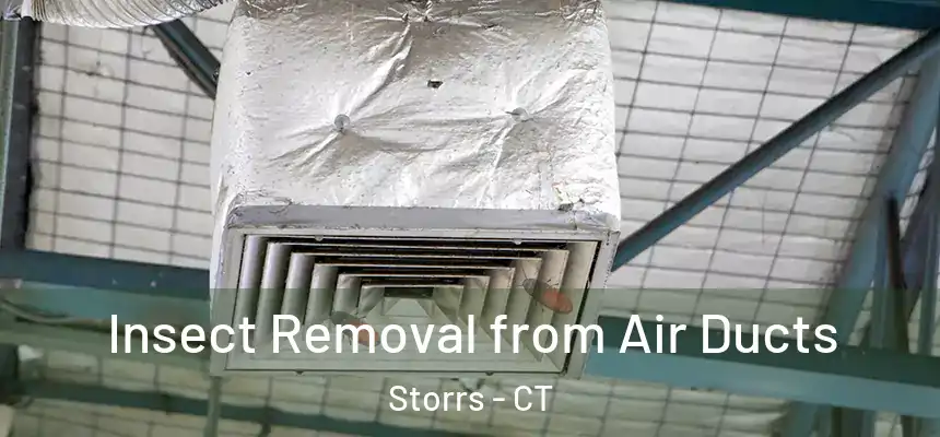 Insect Removal from Air Ducts Storrs - CT