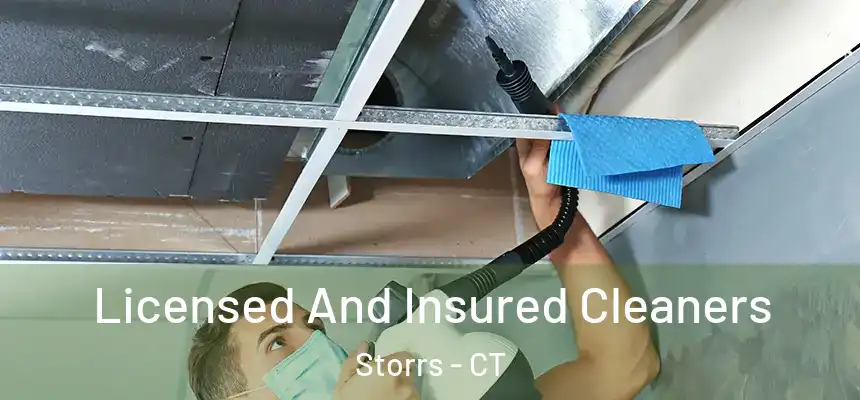 Licensed And Insured Cleaners Storrs - CT