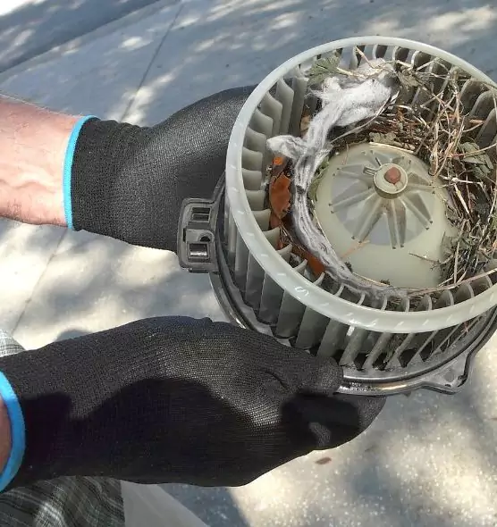 About Air Duct Mice Removal in Storrs, CT