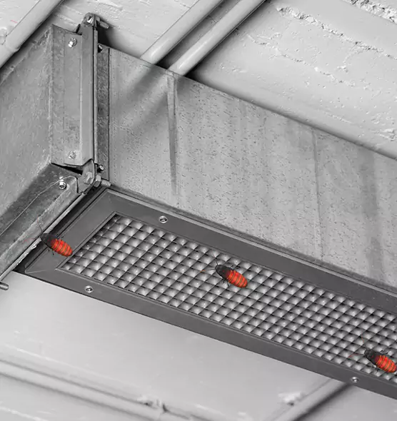 Affordable Insect Removal from Air Ducts in Storrs, CT