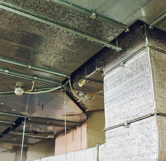 Why Homeowners & Businesses Trust Us in Storrs, CT?